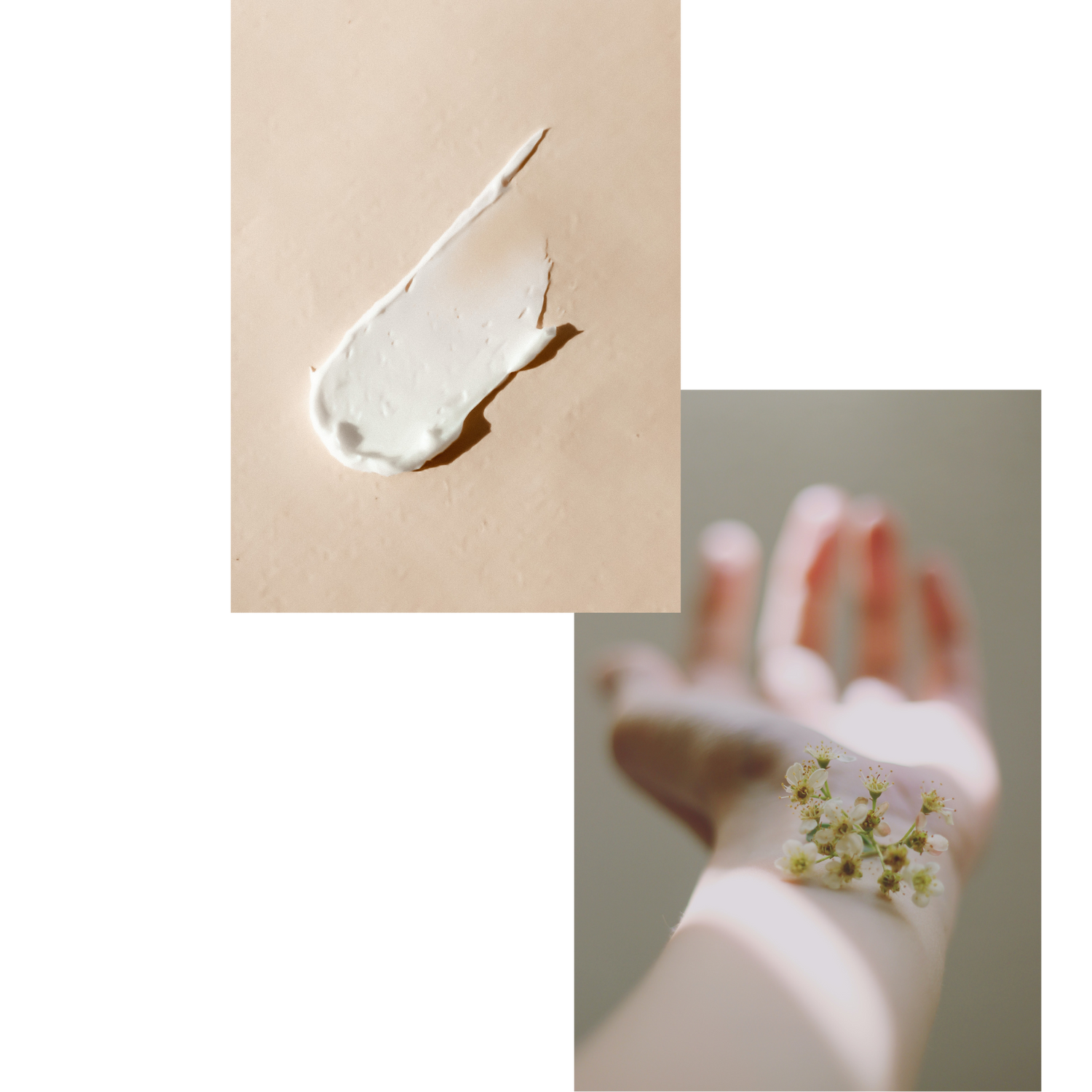 En kollage af billeder: Den første er af et creme produkt smurt ud på en beige underlag. Det andet er af en udstrakt arm, hvor en blomst er placeret på underarmen.