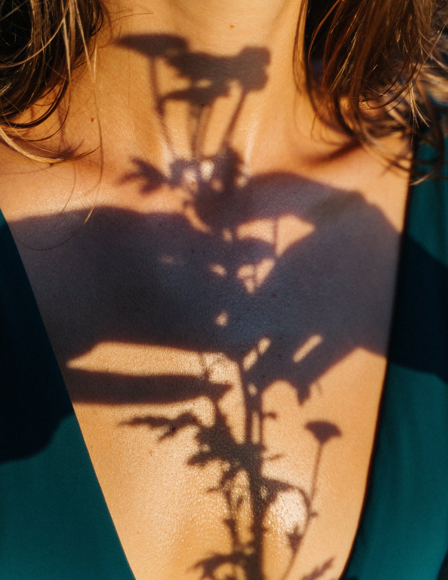 The chest of a woman with the shadow of a plant